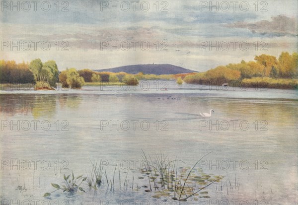 'Vachery Pond', 1911, (1914). Artist: James S Ogilvy.