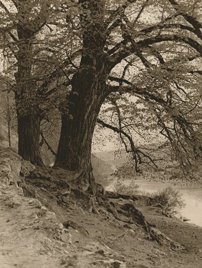 'In the Valley of the Nab', 1931. Artist: Kurt Hielscher.