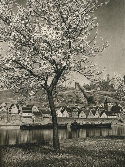 'Hirschhorn a. Neckar', 1931. Artist: Kurt Hielscher.