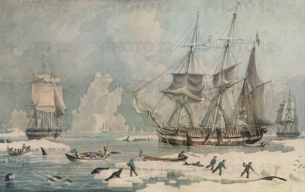 'Northern Whale Fishery', c1829. Artist: Edward Duncan.