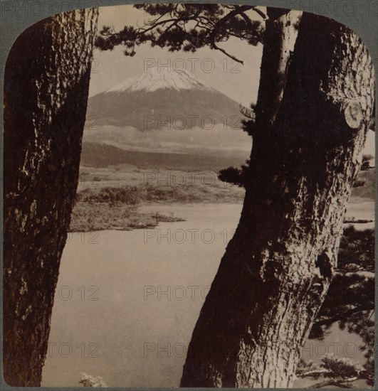 'Glorious Fuji, beloved by artists and poets, seen through pines at Lake Motosu, Japan', 1904. Artist: Unknown.