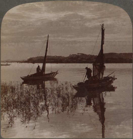 'Fishing boats at sunset across Tamagawa to Kawasaki, near Yokohama, Japan', 1904 Artist: Unknown.