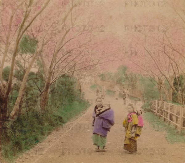 'Youthful Mothers of Japan', 1896. Artist: Unknown.