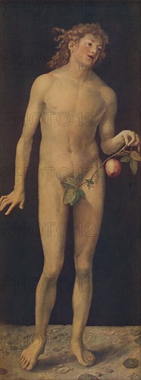 'Adan', (Adam), 1507, (c1934). Artist: Albrecht Durer.