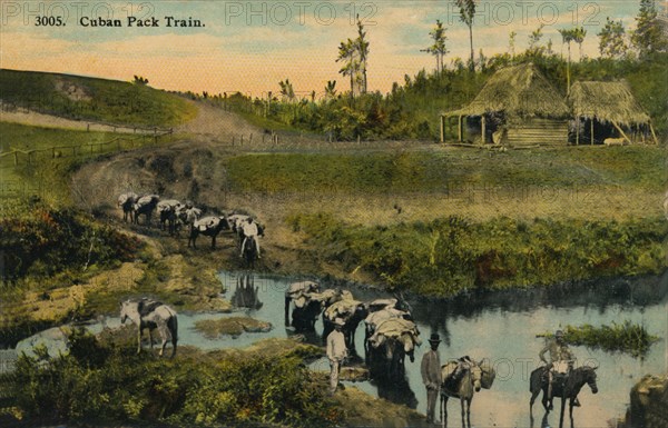 'Cuban Pack Train', c1910. Artist: Unknown.