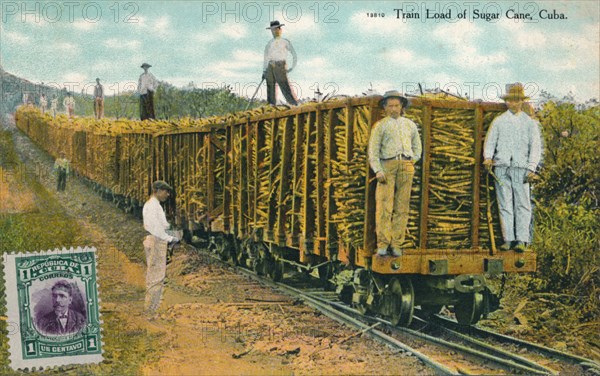 'Train Load of Sugar Cane, Cuba', 1911. Artist: Unknown.