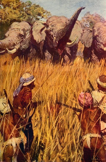 'Elephants in Chase', c1850 (c1912). Artist: Unknown.