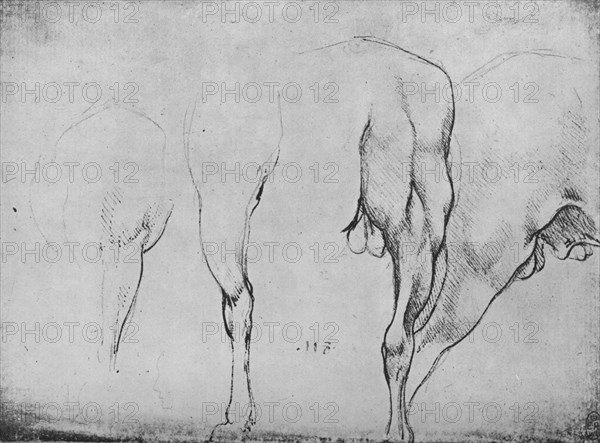 'Studies of Horses' Legs', c1480 (1945). Artist: Leonardo da Vinci.