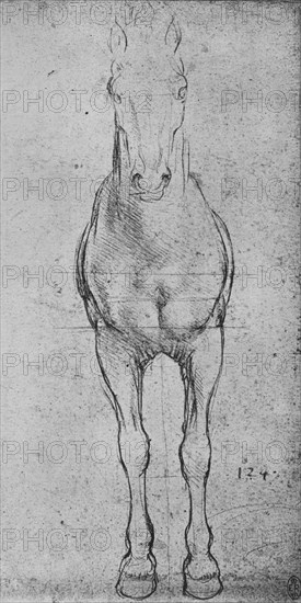 'A Horse Seen from the Front', c1480 (1945). Artist: Leonardo da Vinci.
