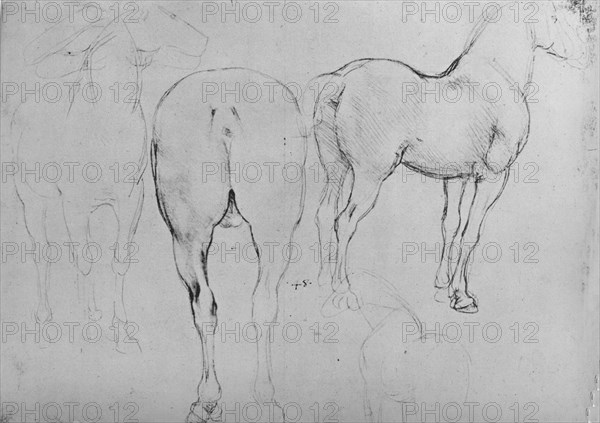 'Four Sketches of Horses', c1480 (1945). Artist: Leonardo da Vinci.