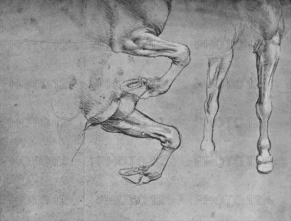 'Four Studies of Horses' Legs', c1480 (1945). Artist: Leonardo da Vinci.