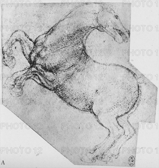 'Study of a Rearing Horse', c1480 (1945). Artist: Leonardo da Vinci.