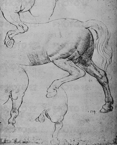 'Studies of the Hind-Quarters and of the Hind-Legs of a Horse', c1480 (1945). Artist: Leonardo da Vinci.