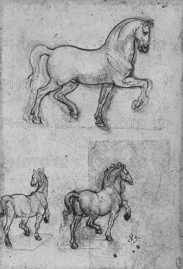 'Three Studies of Horses', c1480 (1945). Artist: Leonardo da Vinci.