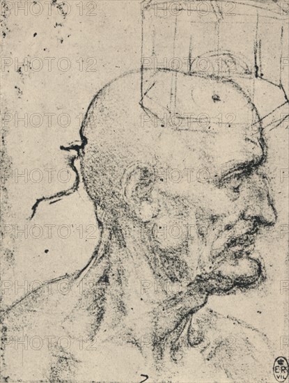 'Profile to Right of a Bald Man, c1480 (1945). Artist: Leonardo da Vinci.