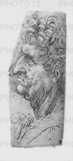 'Profile to the Left of an Elderly Man with Curly Hair', c1480 (1945). Artist: Leonardo da Vinci.