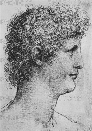 'Head of a Youth in Profile to the Right', c1480 (1945). Artist: Leonardo da Vinci.
