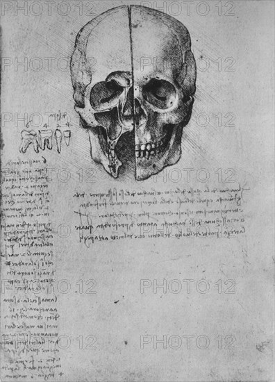 'Drawing of Two Halves of a Skull', c1480 (1945). Artist: Leonardo da Vinci.