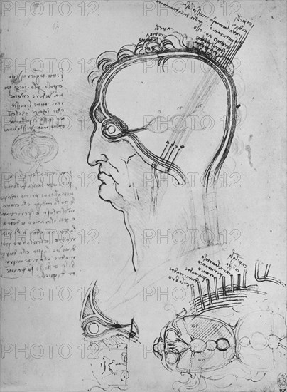 'Sections of a Man's Head Showing the Anatomy of the Eye, Etc.', c1480 (1945). Artist: Leonardo da Vinci.