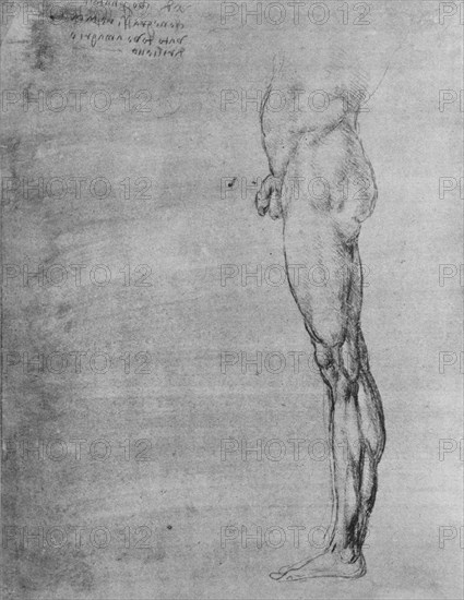 'Study of the Body and Leg of a Man', c1480 (1945). Artist: Leonardo da Vinci.