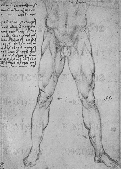 'Study of the Lower Half of a Nude Man Facing to the Front', c1480 (1945). Artist: Leonardo da Vinci.