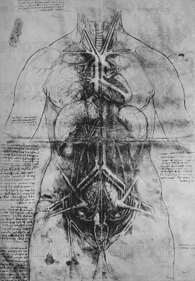 'Dissection of the Principal Organs of a Woman', c1480 (1945). Artist: Leonardo da Vinci.