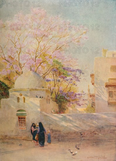 'The Jacaranda', c1905, (1912). Artist: Walter Frederick Roofe Tyndale.