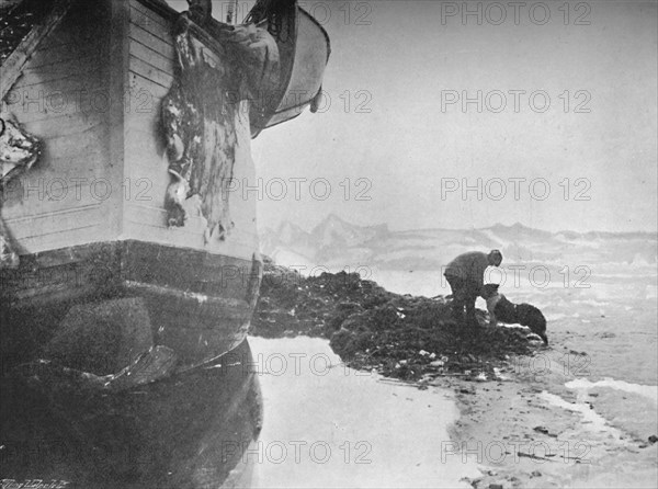 'The Stern of the Fram. Johansen and 'Sultan' ,16 June, 1894', (1897). Artist: Unknown.