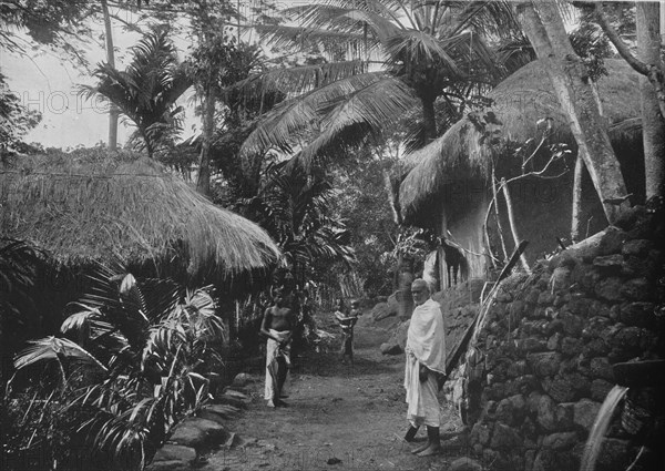 'Native Huts in the Jungle', c1890, (1910). Artist: Alfred William Amandus Plate.