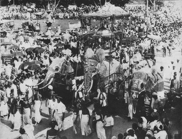 'Sacred Elephant in the Perahera Procession, Kandy, Ceylon', c1890, (1910). Artist: Alfred William Amandus Plate.