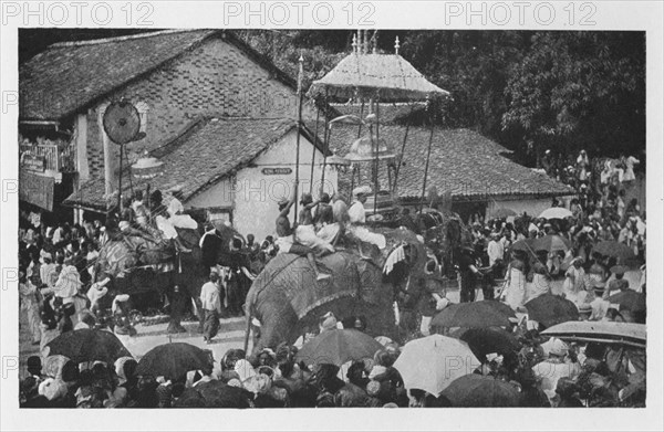 'Kandy Perahera. - A Procession of Elephants carried through by the Kandyan Chiefs', c1890, (1910). Artist: Alfred William Amandus Plate.