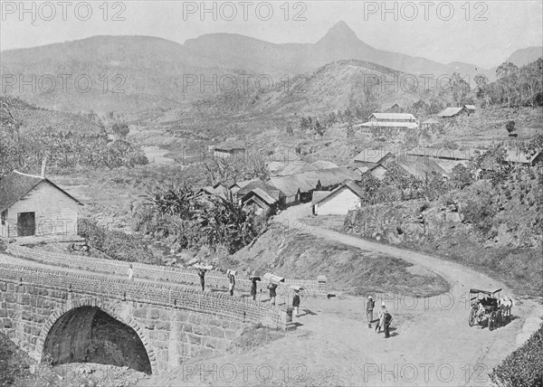 'View of Maskeliya showing Adam's Peak', c1890, (1910). Artist: Alfred William Amandus Plate.