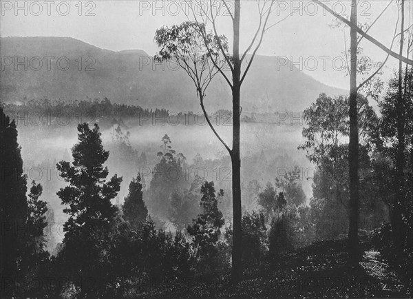 'The Early Morning Mist Rising at Nuwara Eliya', c1890, (1910). Artist: Alfred William Amandus Plate.