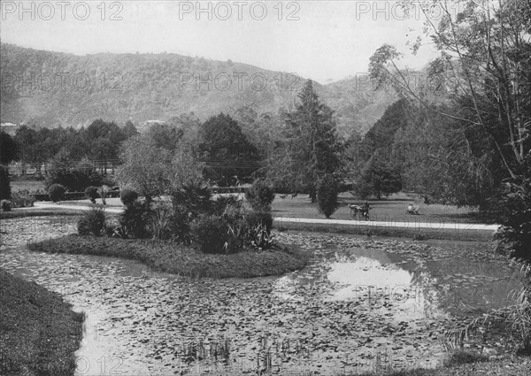 'Hakgalla Gardens from the Lotus Pond, Nuwara Eliya', c1890, (1910). Artist: Alfred William Amandus Plate.