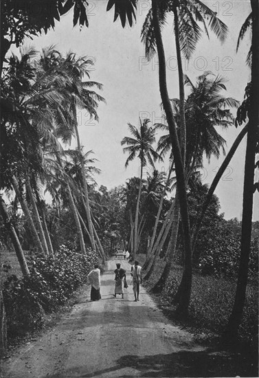 'A Path Through Paddy Fields', c1890, (1910). Artist: Alfred William Amandus Plate.