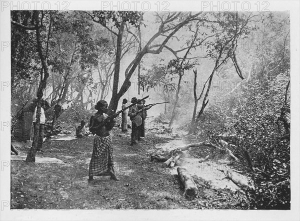 'Elephant Kraaling in Ceylon Towards the Stockade', c1890, (1910). Artist: Alfred William Amandus Plate.