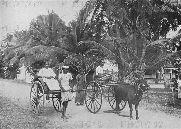 'Rickshaw and Racing Hackery', c1890, (1910). Artist: Alfred William Amandus Plate.