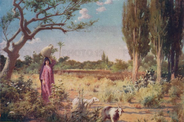 'A Pastoral near Damietta', c1880, (1904). Artist: Robert George Talbot Kelly.