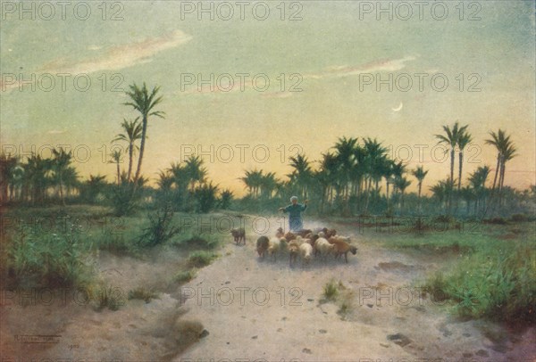 'In the Land of Goshen - Evening', c1880, (1904). Artist: Robert George Talbot Kelly.