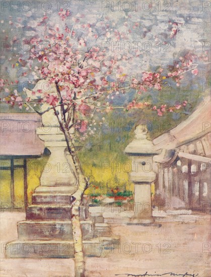 'Peach-Blossom', c1887, (1901). Artist: Mortimer L Menpes.