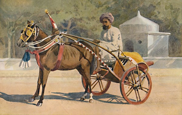 'A Benares Ekka', c1880 (1905). Creator: Alexander Henry Hallam Murray.