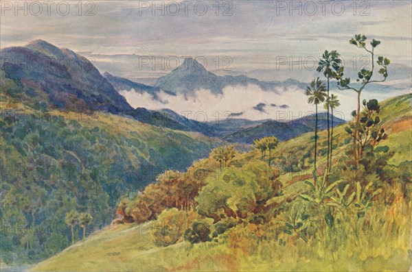 'Morning Mists in the Valley of the Mahawelli Gangha', c1880 (1905). Creator: Alexander Henry Hallam Murray.