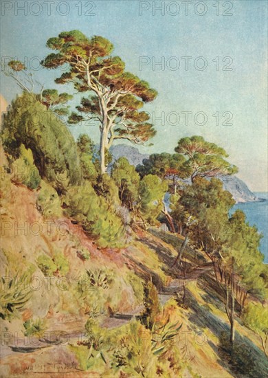 'In the Villa Piuma, Sestri Levante', c1910, (1912). Artist: Walter Frederick Roofe Tyndale.