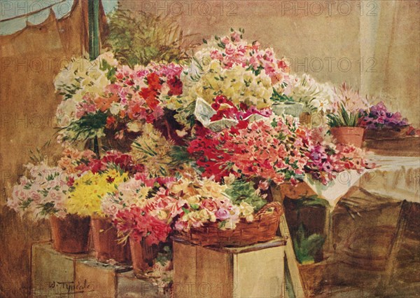 'Flower Stall in Mentone Market', c1910, (1912). Artist: Walter Frederick Roofe Tyndale.