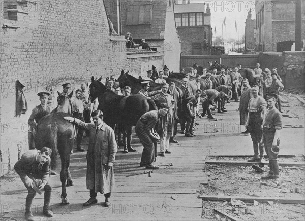 'The New Army in training at the Farriers' School', 1915. Artist: Unknown.