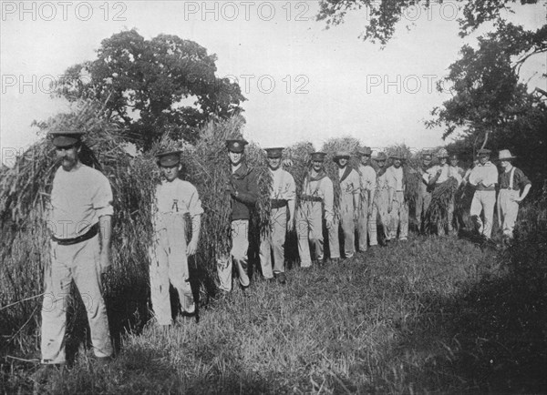 'The shortage of farm labour: Soldiers assisting with the harvest', 1915. Artist: Unknown.