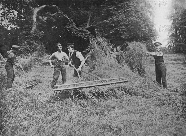 'Soldiers assisting the farmers by getting in the hay', 1915. Artist: Unknown.