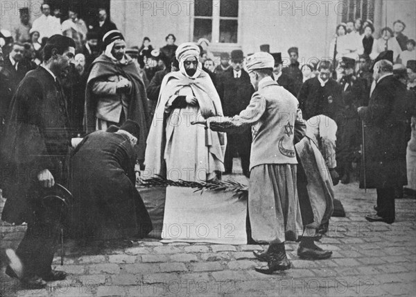 'An unusual sight in Paris', 1914. Artist: Unknown.