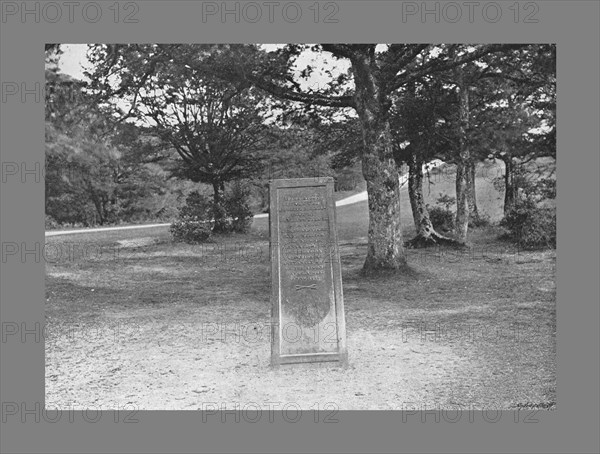 Rufus Stone, New Forest Hants, c1900. Artist: Poulton & Co.