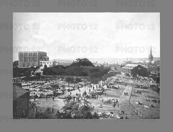 Norwich: Castle,Cattle Market, and Cathedral, c1900. Artist: William Lewis Shrubsole.